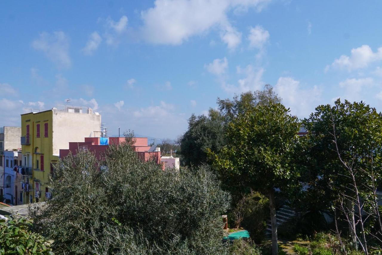 Stella Marina Apartments Procida Extérieur photo